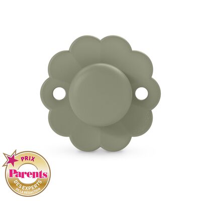 SX Pro 6/18M Wonder reversible soother