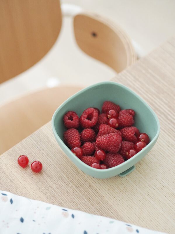 Bol silicone ventouse sage green