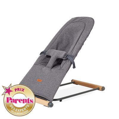 Evolux Foldable Bouncer - Natural Anthracite