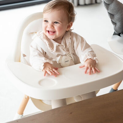 Evolu High Chair - Adjustable In Height (50-75 Cm/*90 Cm) - 