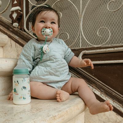 SX Pro 270 ml feeding bottle with teat A Walk In The Park