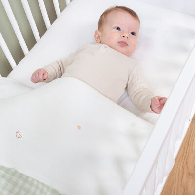 Baby Blanket - 80x100 Cm - Jersey - Forest - Muslin Vichy