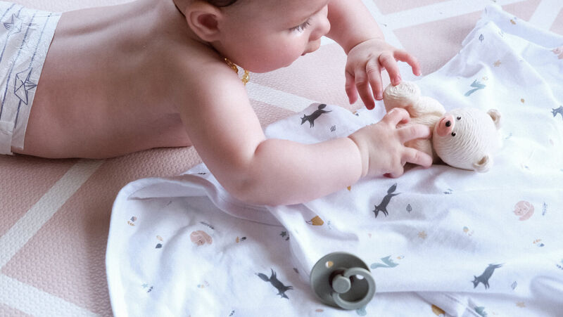 The Miracle Blanket&trade; happy fox