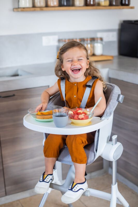 Up&Down HighChair Seat Cushion grey