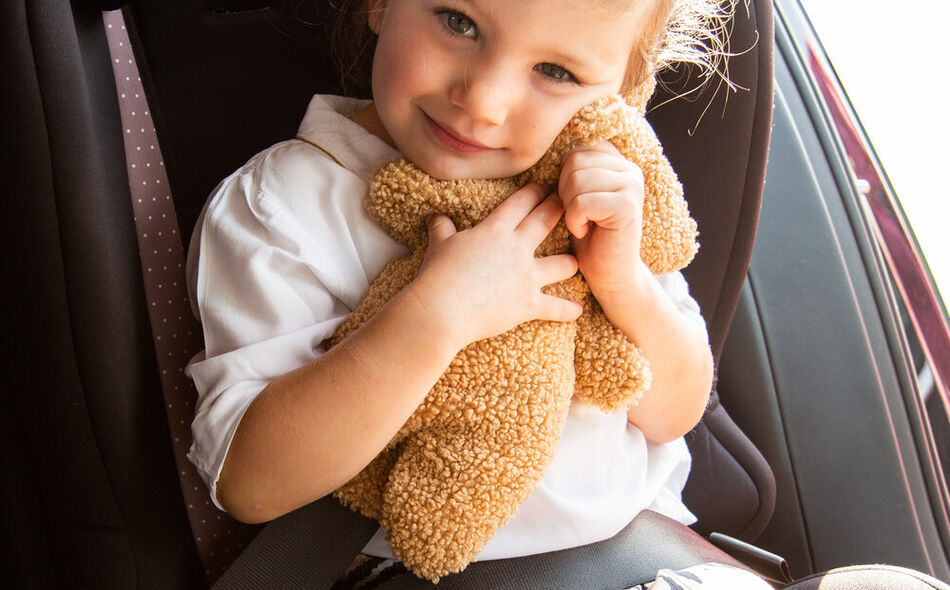 Seatbelt Cushion - Teddy Brown