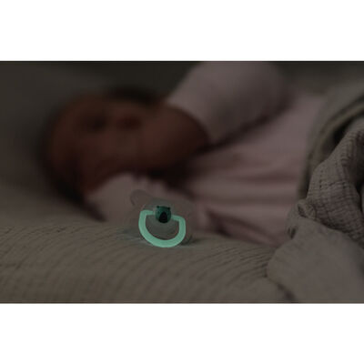 Doppelpack SX Pro -2/4M Night&Day Schnuller.