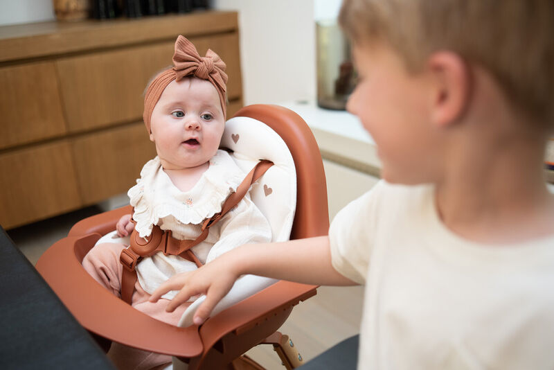 Evolu Seat Cushion - Jersey - Hearts