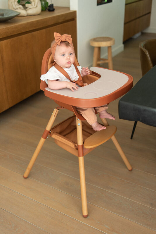 Evolu Feeding Tray - Abs - Rust + Silicone Place Mat