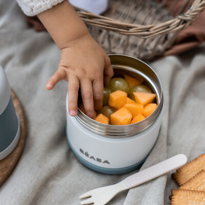 Thermo-portion 500 ml blue