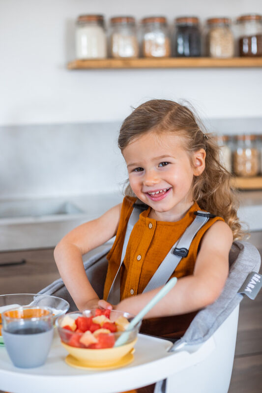 Up&Down HighChair Seat Cushion grey