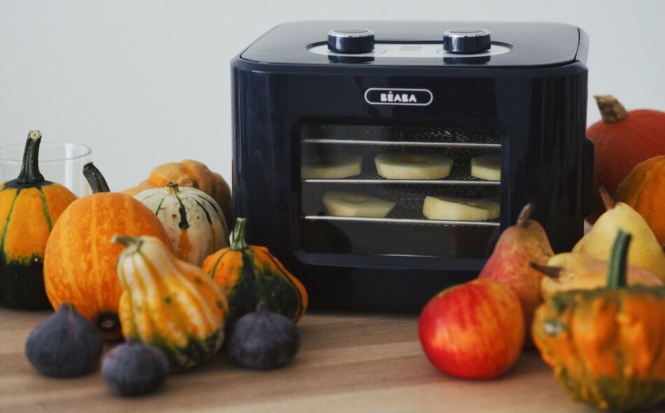 Dry'n'Snack - D&eacute;shydrateur alimentaire night-blue