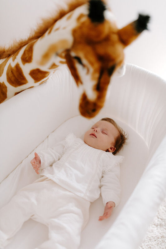 Standing Giraffe Stuffed Animal - 50x40x135 Cm - Brown Yello