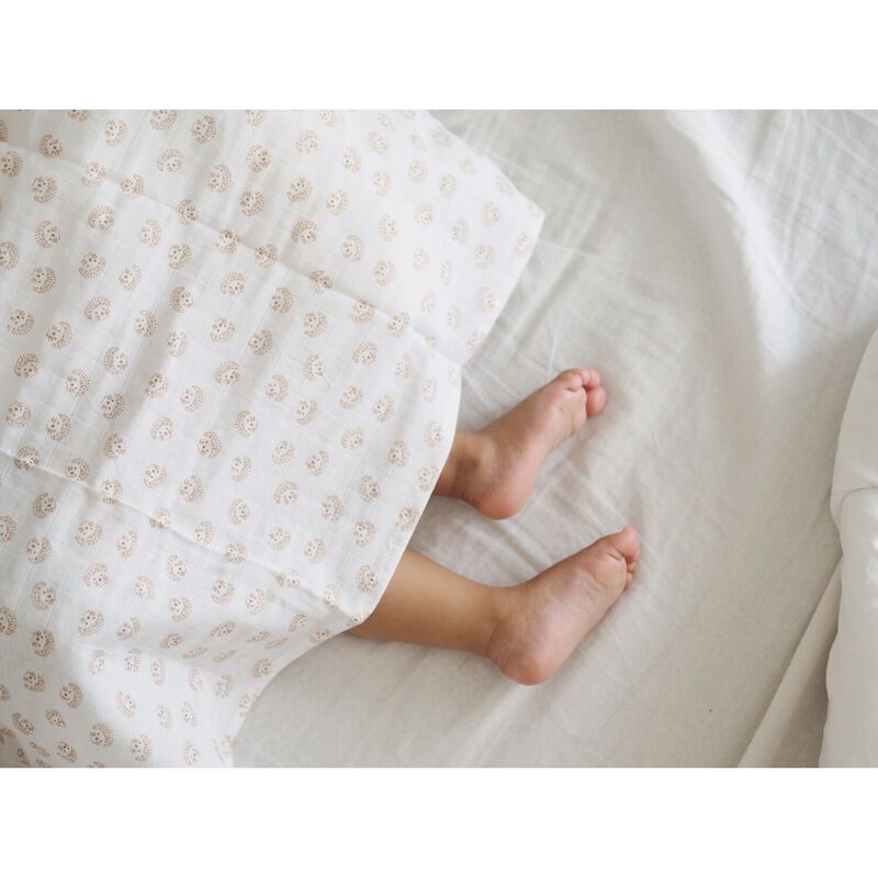 Lot de 3 langes en coton hedgehog