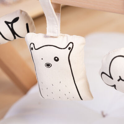 Baby Gym Toys - Canvas - Set Of 5