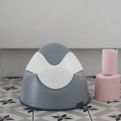 Ergonomic potty light mist