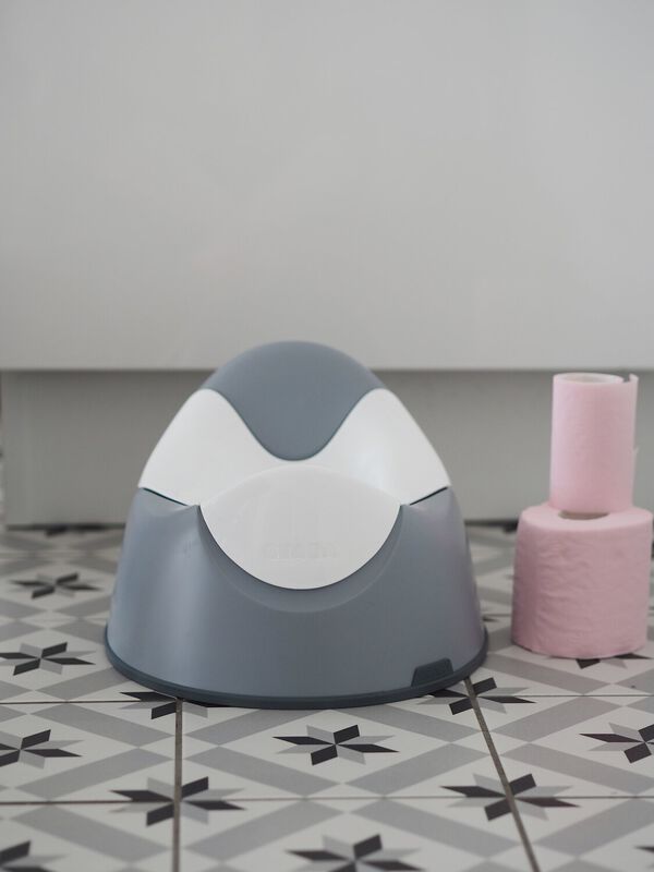 Ergonomic potty light mist