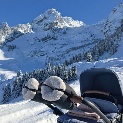 Mittens for stroller black